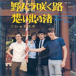 The Shadows - Omoide No Nagisa